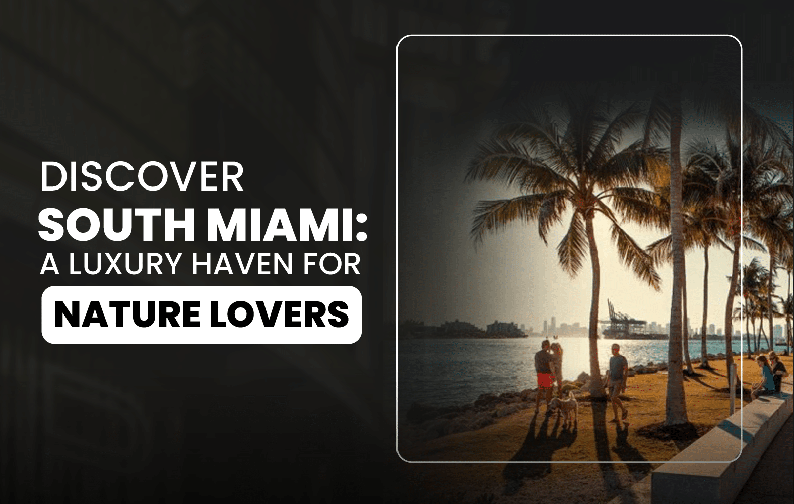 Discover South Miami: A Luxury Haven for Nature Lovers