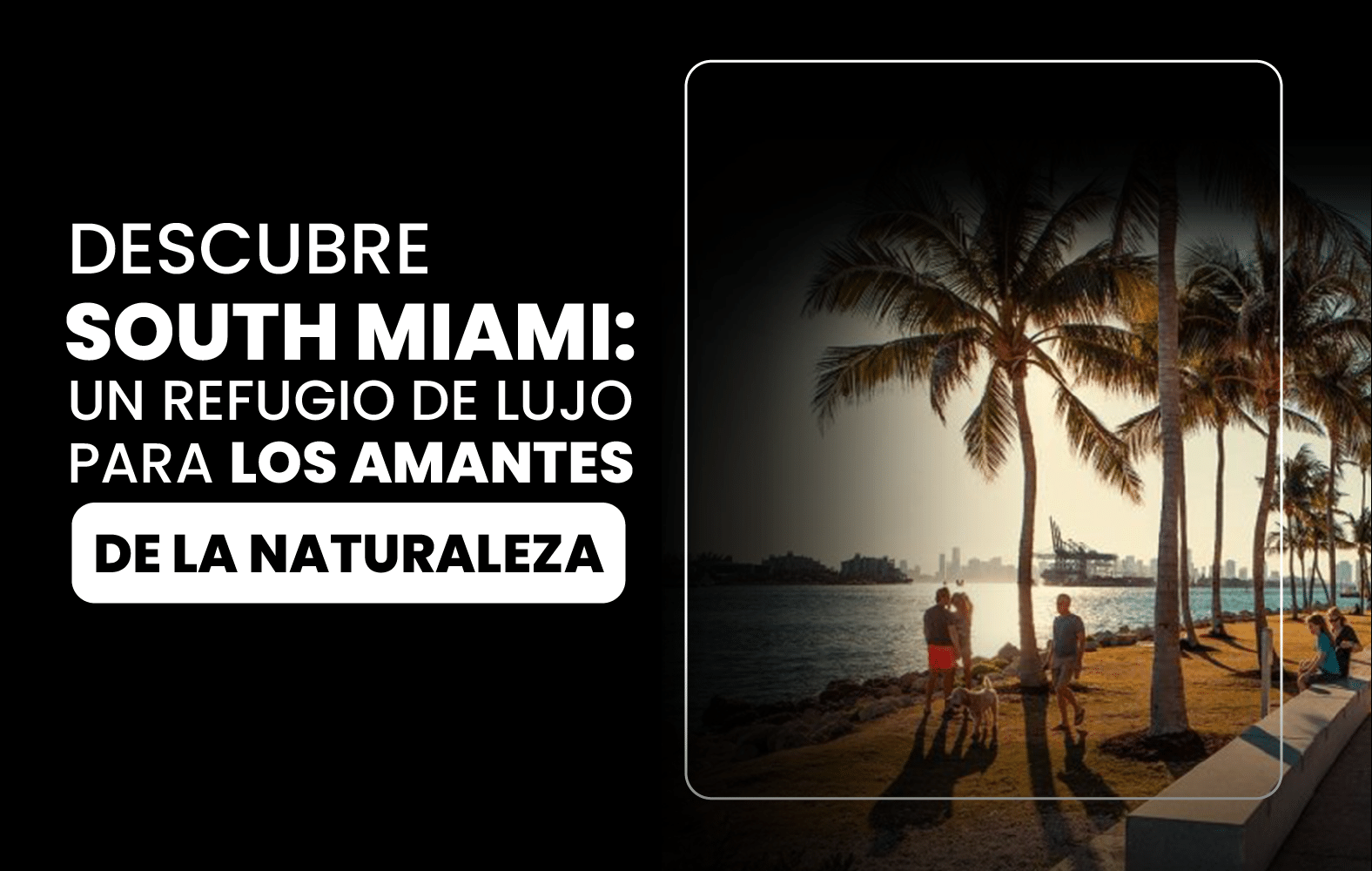 Descubre South Miami: un Refugio de lujo para los amantes de la naturaleza