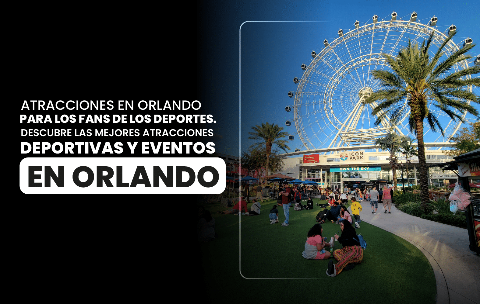 Atracciones en Orlando para los fans de los deportes. Descubre las mejores  atracciones deportivas y eventos en Orlando.